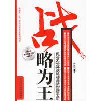 战略为王:民营企业战略管