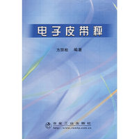 电子皮带秤