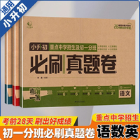 小升初真题试卷3册 语文数学英语小升初总复习初中分班真题卷2025必刷题一本小升初冲刺新卷小学五六年级知识点汇总大盘点