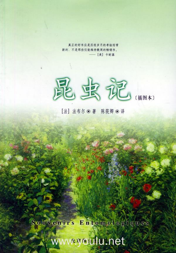 昆虫记(插图本)