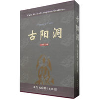古阳洞：龙门石窟第1443窟（全三册）
