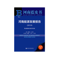 河南蓝皮书：河南能源发展报告（2018）