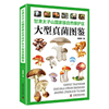 甘肃太子山国家级自然保护区大型真菌图鉴