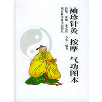 袖珍针灸按摩气功图本