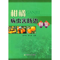 柑橘病虫害生态防治