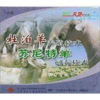 杜泊羊养殖技术 苏尼特羊饲养技术（VCD）
