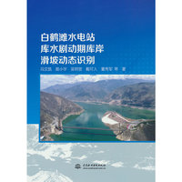 白鹤滩水电站库水剧动期库岸滑坡动态识别
