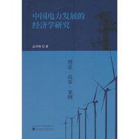 中国电力发展的经济学研究---理论、故事与案例