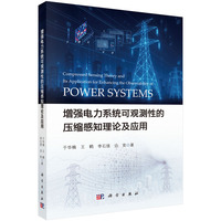 增强电力系统可观测性的压缩感知理论及应用9787030829016于华楠科学出版社