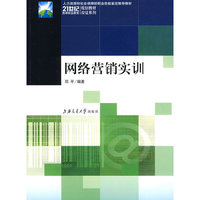 网络营销实训