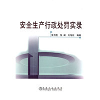 安全生产行政处罚实录\张利民