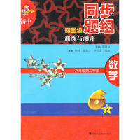 初中四星级同步题组训练与测评 数学 六年级第二学期