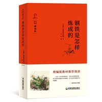 钢铁是怎样炼成的 部编版教材八年级(下)