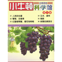 小牛顿科学馆.第六辑（31～36册）