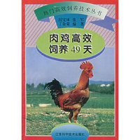 肉鸡高效饲养49天