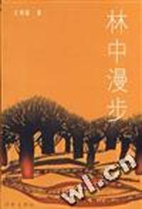 林中漫步