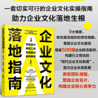 企业文化落地指南：顶层设计·模型工具·实操要点·案例解析