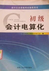 初级会计电算化