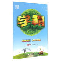 经纶学典·学霸：数学（二年级下 RJ）