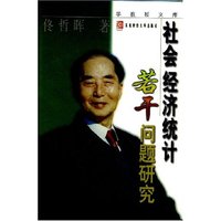 社会经济统计若干问题研究(东北财经大学教授文库)