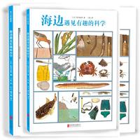海边遇见有趣的科学