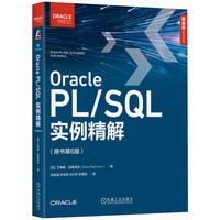 Oracle PL/SQL实例精解（原书第6版）   [美]本杰明·罗森维格   [加]艾琳娜·拉希莫夫