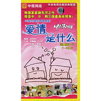 爱情是什么 韩剧经典 完整版(1-66集)22片装DVD 原装正版(DVD)