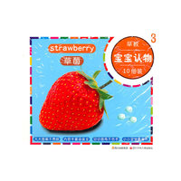 早教宝宝认物-10册装