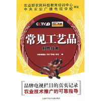 常见工艺品制作技术