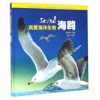 青岛出版社 海鸥/我爱海洋生物(精)