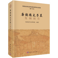 唐懿德太子墓发掘报告-陕西省考古研究院田野考古报告第73号