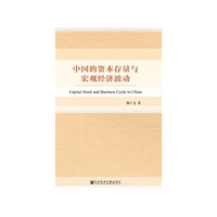 中国的资本存量与宏观经济波动