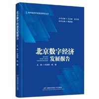 北京数字经济发展报告