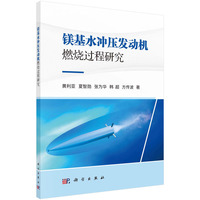 镁基水冲压发动机燃烧过程研究