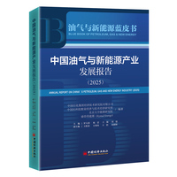 中国油气与新能源产业发展报告（2025）