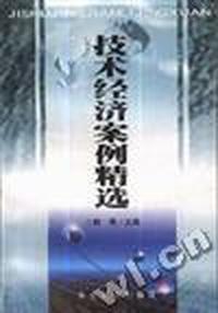 技术经济案例精选