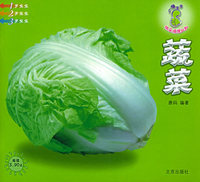 棒宝宝快乐情境认知：蔬菜（注音版）