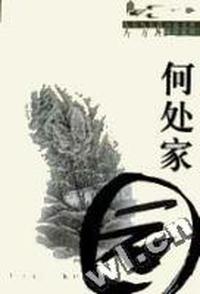 何处家园-九头鸟长篇小说