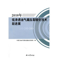 2010年低渗透油气藏压裂酸化技术新进展