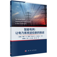 智能电网(应对电力系统新挑战的先进技术)