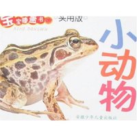 宝宝膝盖书·实用版-小动物