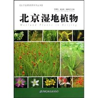 北京湿地植物