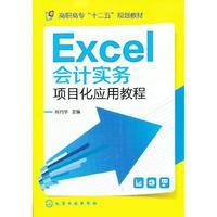 Excel会计实务项目化应用教程