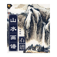 山水画谱 石谱点皴法(VCD)