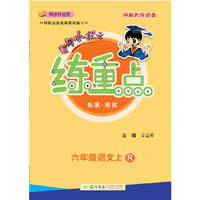 2020年秋季黄冈小状元练重点六年级语文上（R）人教版