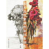 美术高考素描色彩同步训练