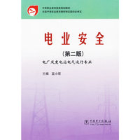 电力安全(第二版)