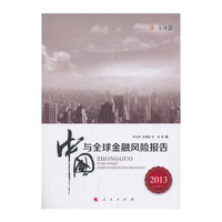 2013-中国与全球金融风险报告-(全2册)