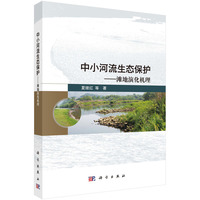 中小河流生态保护----滩地演化机理