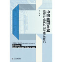 中国跨国企业适应性成长机制与路径研究